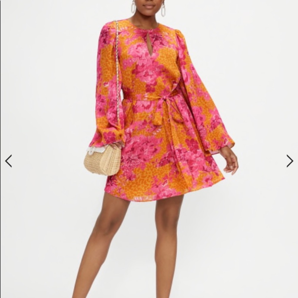 Ted Baker Dress
